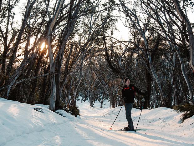 Photo 4 for Sunset Ski Along Race Loop