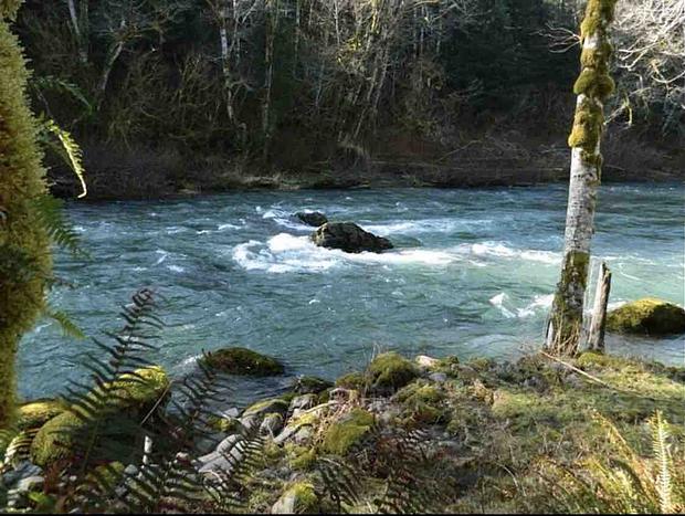Photo 16 for Sol Duc Riverside Retreat