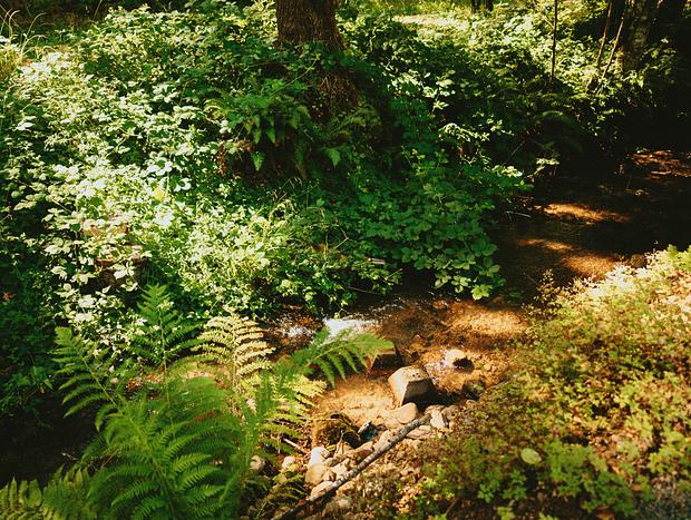 Photo 16 for Cozy Creekside Cottage Escape
