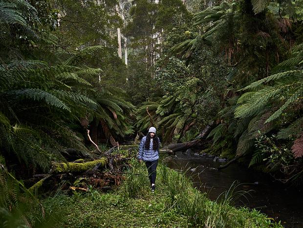 Photo 1 for Grey River Lookout