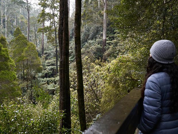 Photo 3 for Grey River Lookout