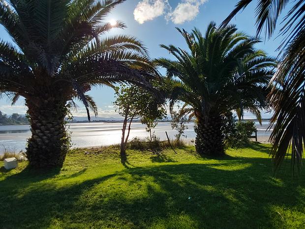 Photo 17 for Pahoia Beachstay - The Ducks Nest