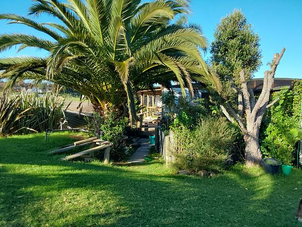 Photo 18 for Pahoia Beachstay - The Ducks Nest