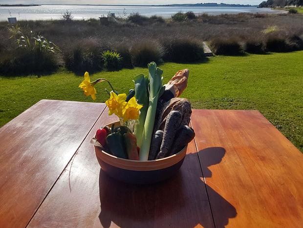 Photo 19 for Pahoia Beachstay - The Ducks Nest