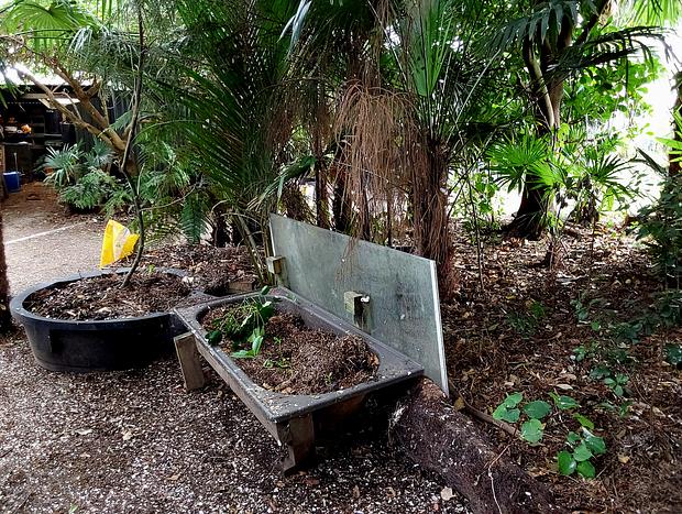Photo 24 for Pahoia Beachstay - The Ducks Nest