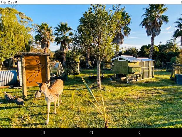 Photo 22 for Pahoia Beachstay - The Ducks Nest