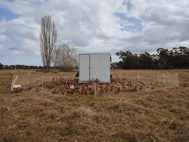 Photo 25 for Organic Farm Stay
