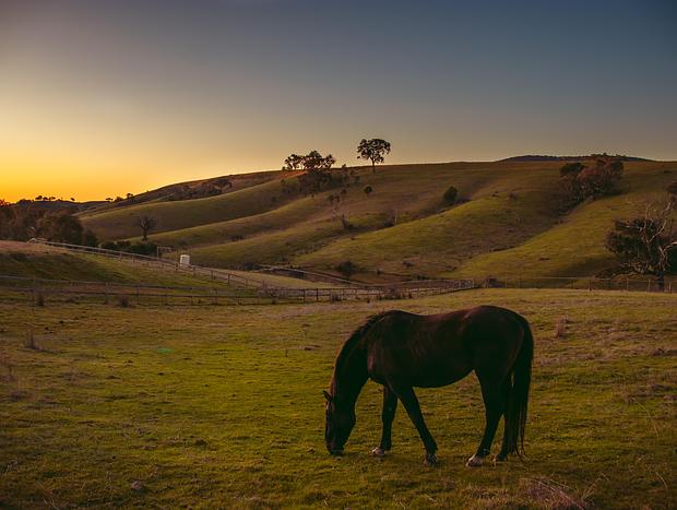 Photo 13 for Saddle Country Escape