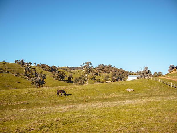 Photo 10 for Saddle Country Escape