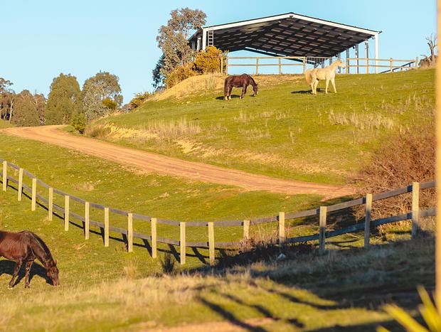 Photo 8 for Saddle Country Escape