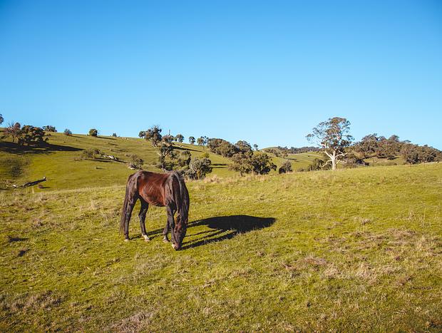 Photo 9 for Saddle Country Escape