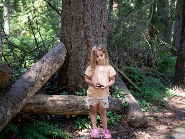 Photo 3 for Walk with Nature at Northwest Trek