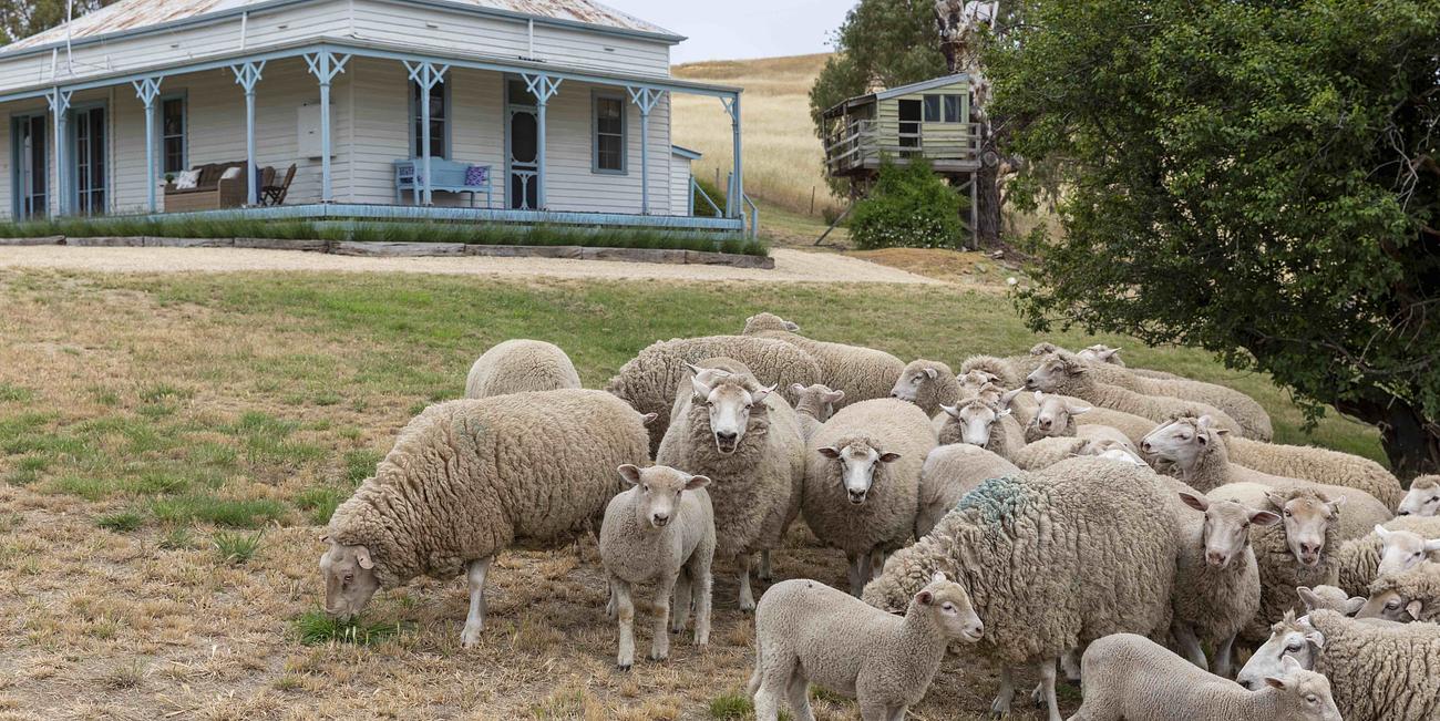 Charter Farm Find Your Happy Hamlet Cottage for Rent in Glenluce