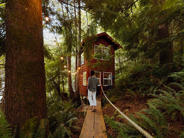 Photo 18 for Two-Story Treehouse and Fire Lookout Adventures