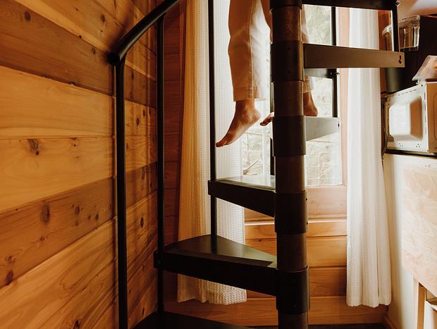 Photo 3 for Two-Story Treehouse and Fire Lookout Adventures