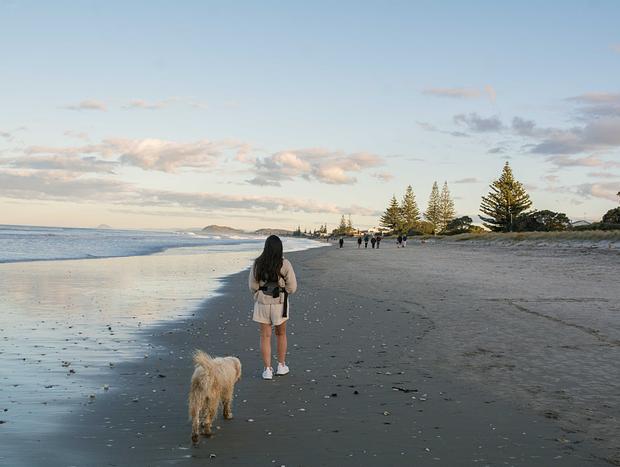 Photo 1 for Sunset on Waihi Beach