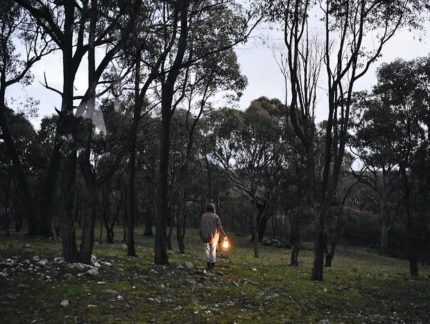 Photo 1 for A Walk with Nocturnal Friends