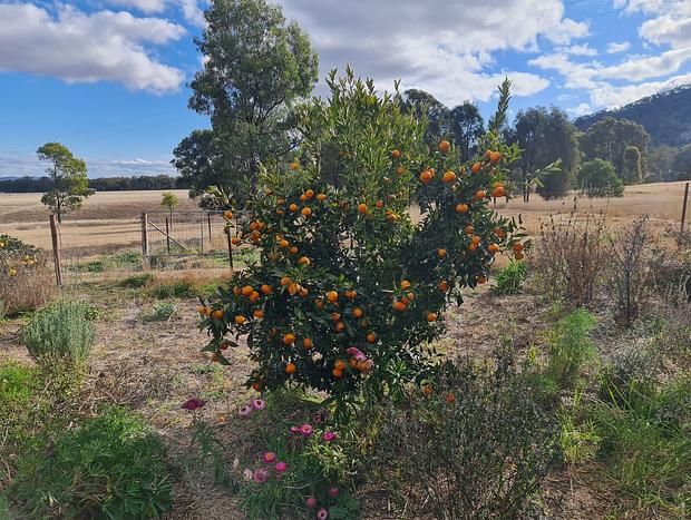 Photo 36 for Farmstay - Expansive Views & Custom Bar