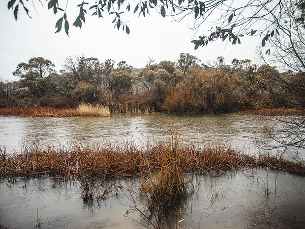 Photo 2 for The Murrumbidgee River