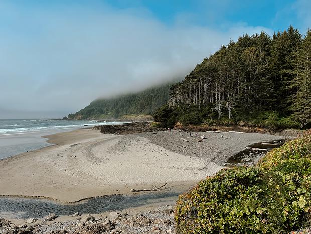Photo 14 for A Time Capsule on the Oregon Coast