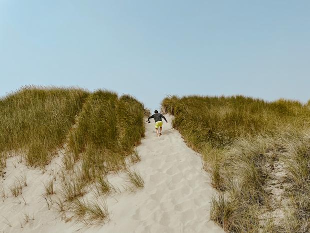 Photo 3 for Wander Through the Dunes to Heceta Beach