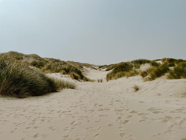 Photo 5 for Wander Through the Dunes to Heceta Beach