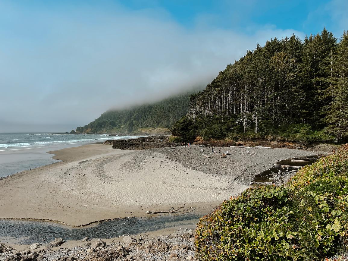 Discover Tide Pools at Neptune Beach Riparide