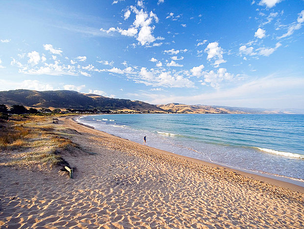 Photo 9 for Saltwater Haven - 300m to Beach - Pet Friendly - Free Wifi