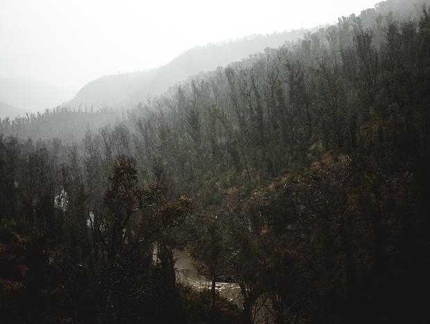 Photo 16 for Groundedness in the Snowy Mountains