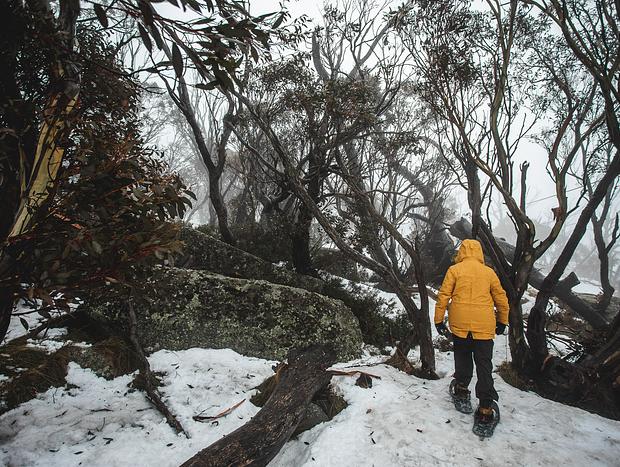 Photo 20 for Groundedness in the Snowy Mountains
