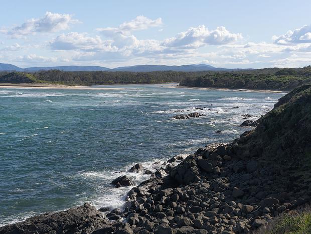 Photo 2 for The Spot to See Whales