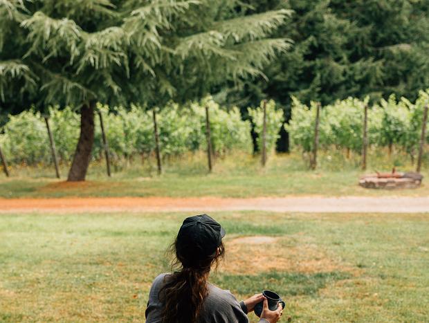 Photo 8 for Beyond the Vines