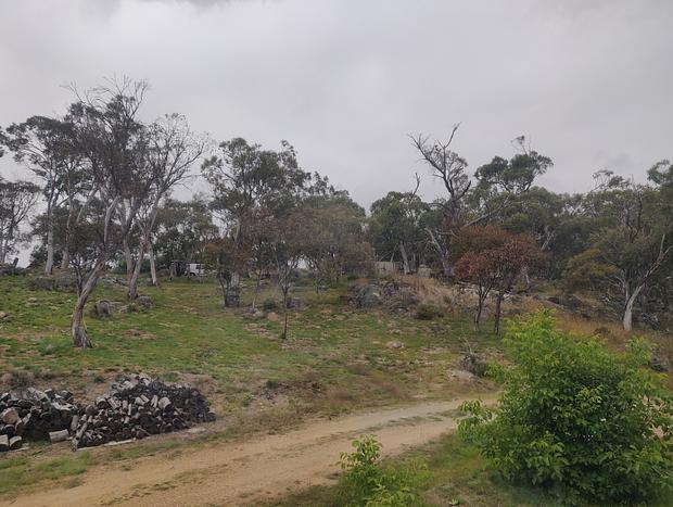 Photo 15 for Spacious Tiny Home On Acreage - 2 Loft Bedrooms