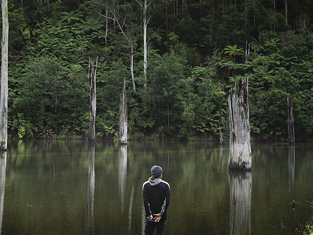 Photo 1 for Lake Elizabeth, Bushwalk