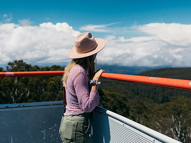 Mt Donna Buang
