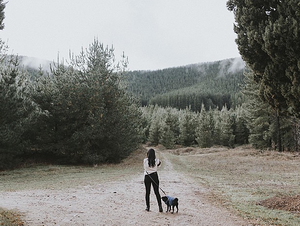 Bright Pine Valley