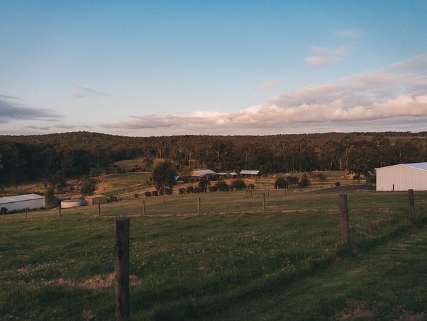 Photo 20 for The Pearl of Gippsland