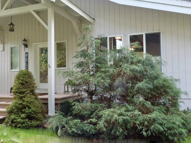 Photo 7 for L & D North House - A Serene Waterfront Getaway
