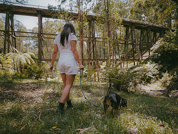 Noojee Trestle Bridge