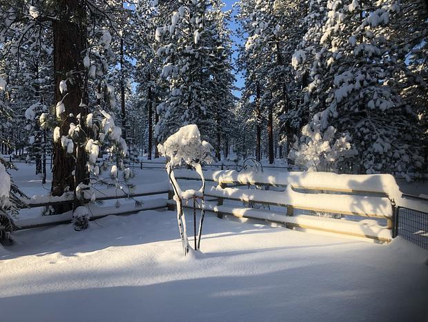 Photo 62 for Beautiful Log Home Outside of Sisters