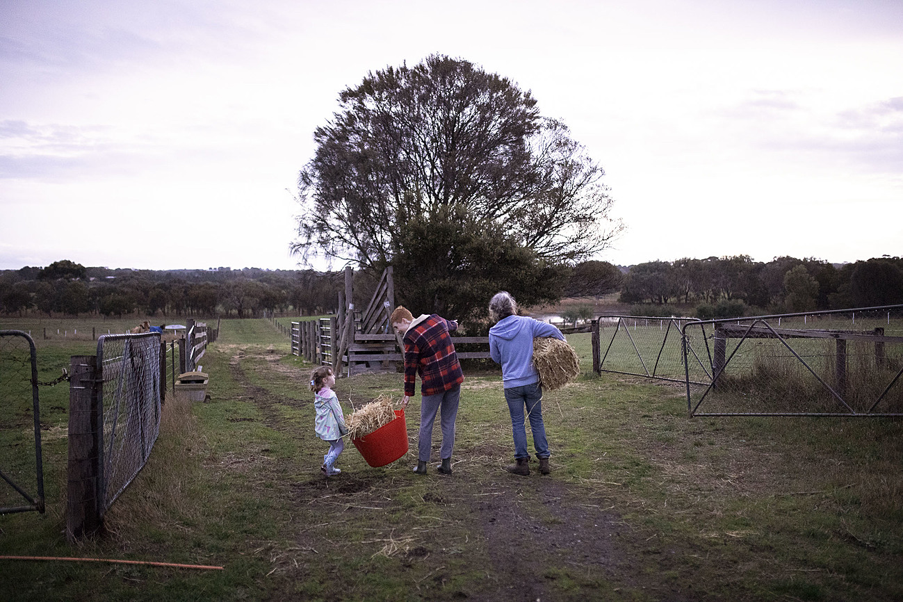 Exploring Farm Exploring the Farm | Riparide