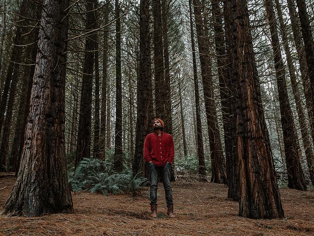Photo 1 for Discover the Pines at RJ Hamer Arboretum