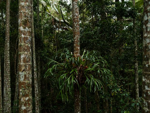 Photo 7 for undefined