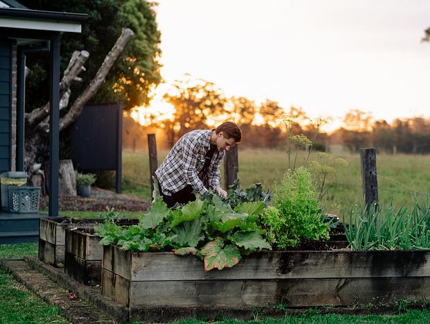 Photo 1 for Farm Life
