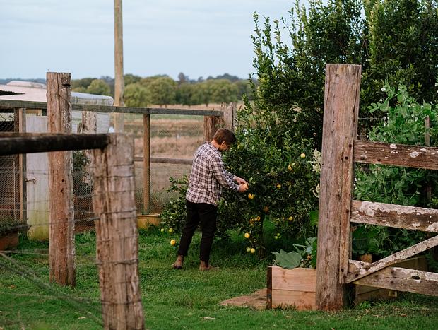 Photo 2 for Farm Life