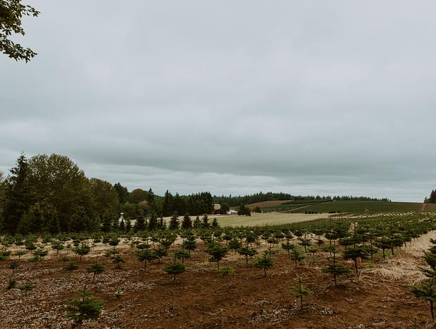 Photo 5 for Hiking on the Working Farm