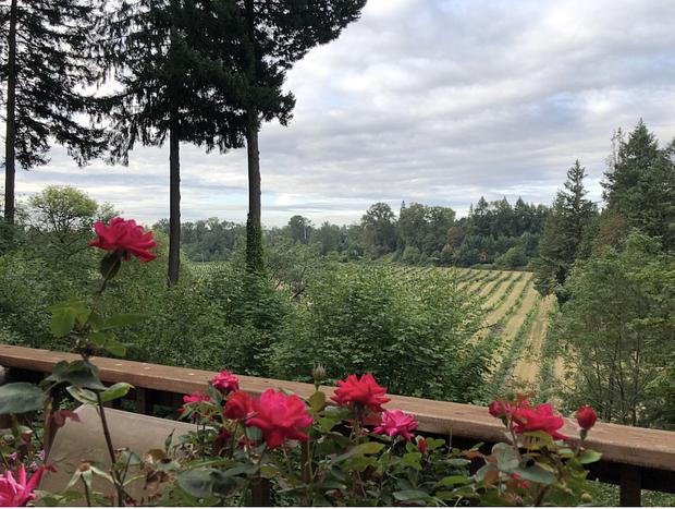 Photo 13 for Private And Serene - Wine Country Cottage