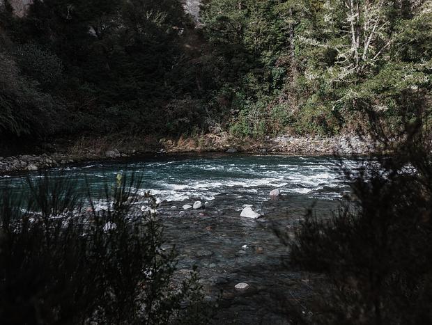 Photo 3 for Tongariro River Fishing Pools