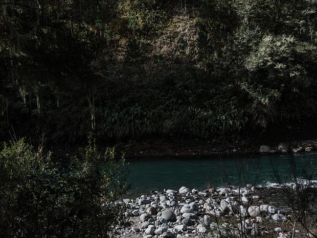Photo 5 for Tongariro River Fishing Pools