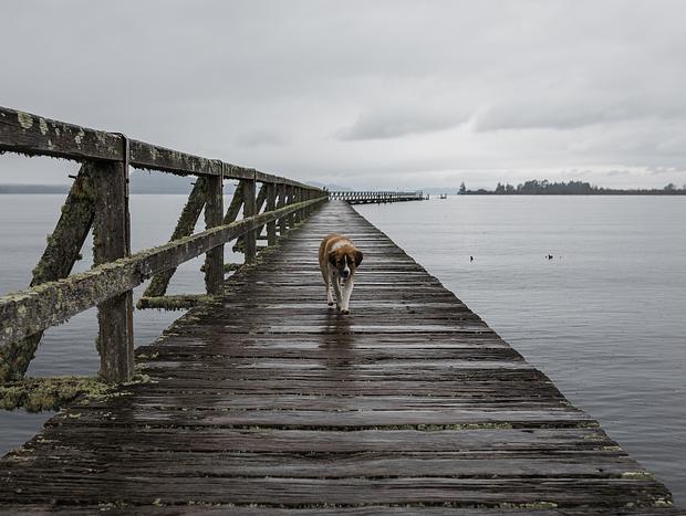 Photo 4 for Tokaanu Historic Wharf